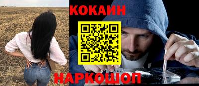 PSILOCYBIN Заводоуковск